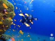 PADI Adventures program