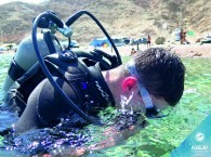  beginning scuba diving_צלילה החל_дайвинг для начинающих   Используется в ссылках на фотографию, заголовках.