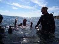 scuba diving in eilat