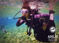 scuba diving eilat_дайвинг_в_эйлате_אילת צלילה