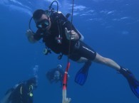 Buoyancy курс OPEN WATER 