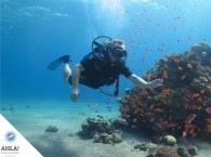 первые шаги в дайвинге_firsts steps in diving