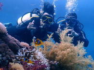 padi open water.jpg